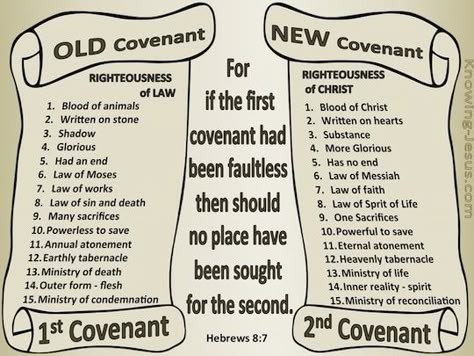 Revelation Bible Study, New Covenant, Book Of Hebrews, Revelation Bible, Bible Study Topics, Bible Study Help, Bible History, Bible Study Notebook, Bible Study Lessons