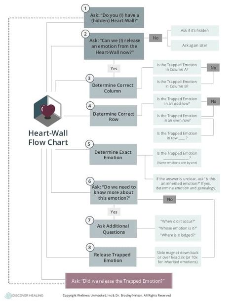 What is an Emotional Heart-Wall and How They Affect Our Lives Emotion Code Chart, The Emotion Code, Emotion Code, Form Of Energy, Emotions Posters, Muscle Testing, Emotion Chart, Teaching Mathematics, Feelings Chart