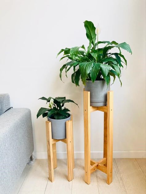 Minimalist Plant Stand, Pot Stand Diy, Diy Easter Basket, Diy Plant Stand, Pot Stand, Easter Basket Diy, Planter Stand, Oak Stain, Home Workshop