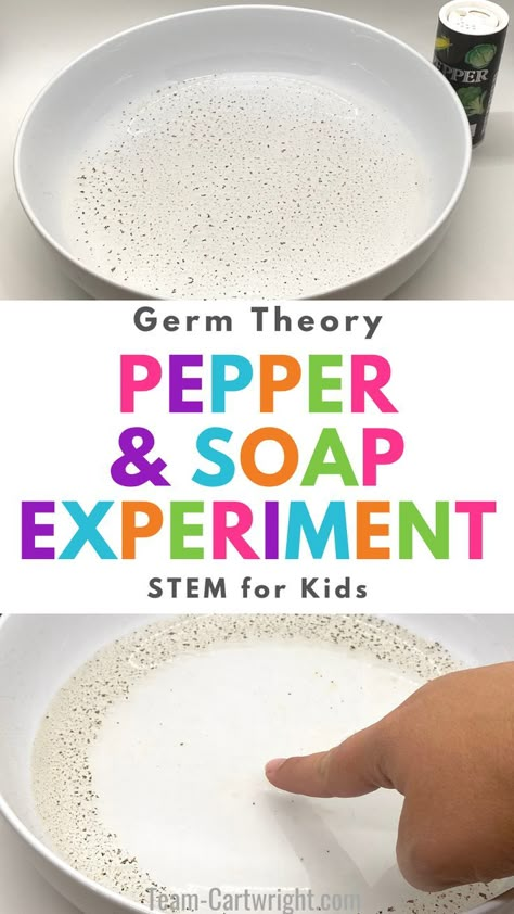 Text: Germ Theory Pepper & Soap Experiment STEM for Kids
Top Picture: shallow bowl of water with pepper sprinkled on the surface. container of pepper next to it.
Bottom Picture: shallow bowl of water and pepper with finger touching surface with soap so pepper moves towards edges of bowl away from finger. Soap Science Experiment, Pepper And Soap Experiment, Pepper Experiment, Germs Preschool, Soap Experiment, Science Activities For Toddlers, Science Experiments Kids Preschool, Pre-k Science, Stem Activities Preschool