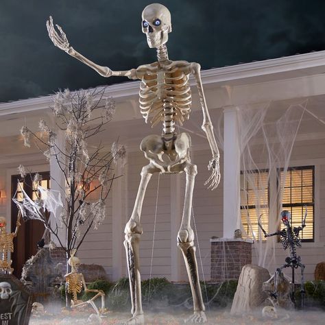 Home Depot Is Selling A 12-Foot Skeleton That Will Be The Talk Of The TownTalk about a Halloween decoration. 💀 Outdoor Skeleton, Halloween Imagem, Growing Irises, Giant Skeleton, Halloween Skeleton Decorations, Lantern Head, Skeleton Decorations, Human Bones, Halloween Everyday