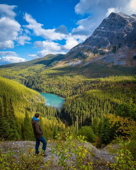 15 BEST Things to do in Kootenay National Park (2023) Hikes In Banff, Kootenay National Park, Marble Canyon, Lake Agnes, Sunshine Village, Banff National Park Canada, Johnston Canyon, Canada National Parks, Travel Credit Cards