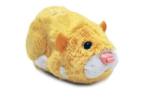 Sorry '90s Kids, Only '00s Kids Are Passing This Quiz 2000 Kids Memories, Pets Hamster, Zhu Zhu Pets, Zhu Zhu, Nostalgic Pictures, Nostalgia Aesthetic, Childhood Memories 2000, Nostalgic Images, Kids Memories