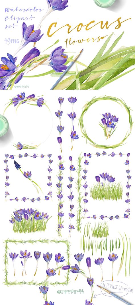 Prairie Crocus Drawing, Crocus Doodle, Crocus Flower Tattoo, Crocus Drawing, Crocus Tattoo, Prairie Crocus, Watercolor Study, Monthly Stickers, Crocus Flower