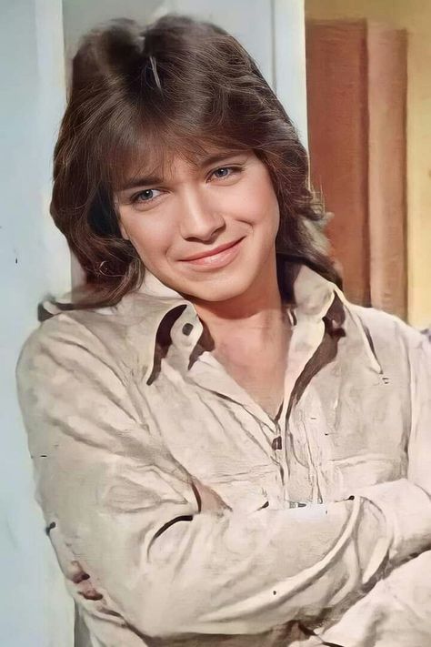 70s Actors, Shirley Jones, The Osmonds, Donny Osmond, Katie Cassidy, Partridge Family, Lovely Smile, City Boy, First Crush