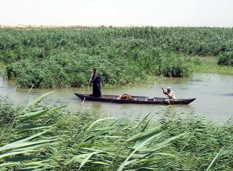 Image result for southern iraq marshes Ancient Sumer, Cradle Of Civilization, Ancient Mesopotamia, Southern Marsh, Weird Pictures, Garden Of Eden, Mesopotamia, Iraq, In The Middle