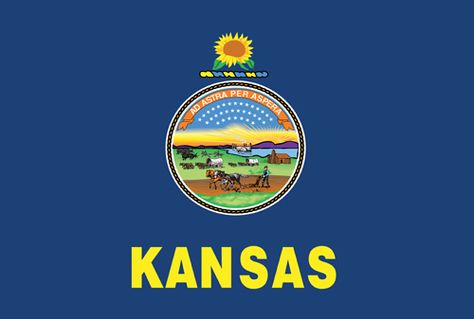 Kansas State Flag - 34th State to enter into the Union - Date of Statehood - January 29, 1861.  Capital - Topeka Kansas State Flower, Kansas Flag, Us States Flags, State Flowers, State Of Kansas, Flower Sunflower, Kansas State, Outdoor Flags, Military Family