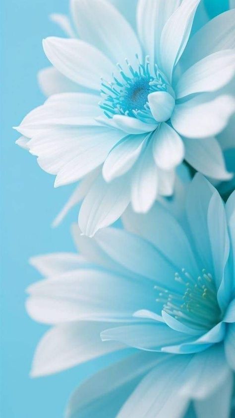 Blue Spring Wallpaper Iphone, Spring Images Wallpaper, Modern Wallpaper Phone, Blue And White Wallpaper Iphone, Phone Wallpaper Pink Aesthetic, Green Phone Background, Background I Phone, Aesthetic Wallpapers Iphone, Wallpapers For Phone