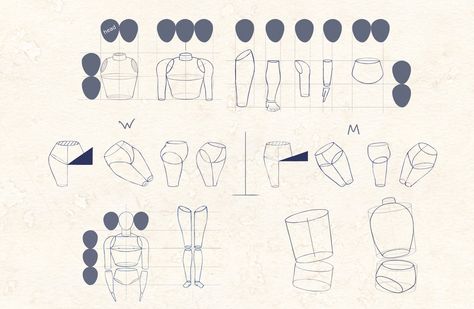 Ihor-Reshetnikov-Anatomy-Basic-Shapes Shapes For Anatomy, Anatomy Basic Shapes, Shapes Anatomy, Anatomy Shapes, Basic Anatomy, Iris Art, Tree Drawings Pencil, Drawing Body Poses, Anatomy Tutorial