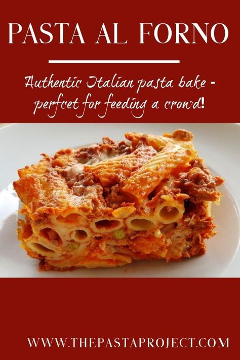 There are hundreds of different recipes for baked pasta (pasta al forno) but, the most traditional and classic is with a meat sauce or ‘ragu’, with a tube pasta type like macaroni, rigatoni, tortiglioni, or penne and some local soft or semi soft cheese as well as parmesan, pecorino or grana sprinkled on top. This can be made in advance and is perfect for feeding a crowd! #meatragu #authenticitalianrecipe #pastaalforno #bakedpastarecipes @thepastaproject.com Tube Pasta, Authentic Italian Pasta, Pasta Types, Baked Pasta, Baked Pasta Recipes, Best Italian Recipes, Pasta Pasta, Pasta Lover, Italian Recipes Authentic