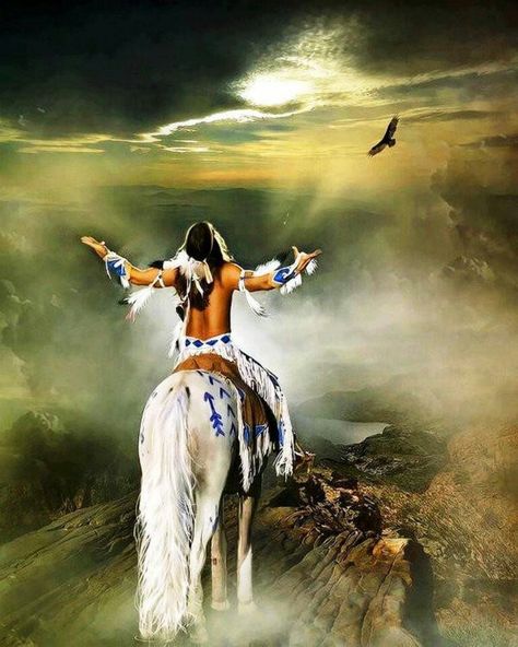 Warrior American Indian Quotes, American Proverbs, Native American Prayers, Native American Spirituality, American Quotes, Native American Wisdom, Native American Pictures, Native American Quotes, Native American Artwork