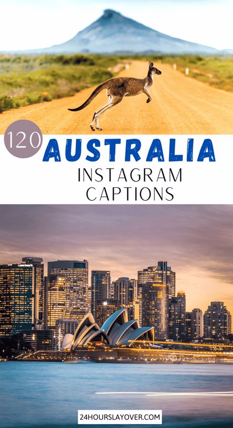 Looking for the best captions, quotes or puns about Australia? Australia's wildlife is unique & the beaches are out of this world! Whether you’re doing a road trip from Cairns to Sydney, visiting Byron Bay beaches or Rottnest Island to see the quokkas, going swimming with the humpback whales, seeing the kangaroos in Jervis Bay or checking out the Sydney Opera House or Instagrammable spots, there are many great things to do in Australia & there are aesthetic photo opportunities everywhere! Australia Quotes, Inspiring Captions, Koala Puns, Travel Puns, Australia Quote, Lone Pine Koala Sanctuary, Puns Quotes, Byron Bay Beach, Australia Funny