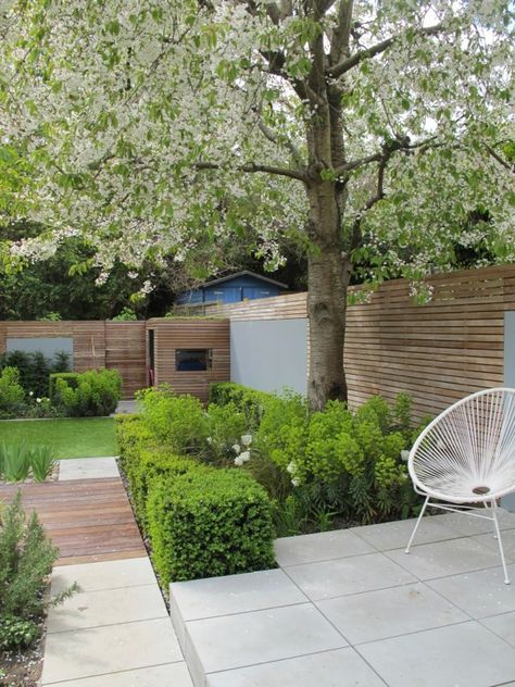 contemporary Spring garden | euphorbia, Buxus clipped cubes | horizontal slated fencing and grey stone Garden Mediterranean, Green Roof Garden, Modern Garden Landscaping, Small Front Gardens, Contemporary Garden Design, Beautiful Home Gardens, Front Garden Design, Contemporary Patio, Modern Garden Design