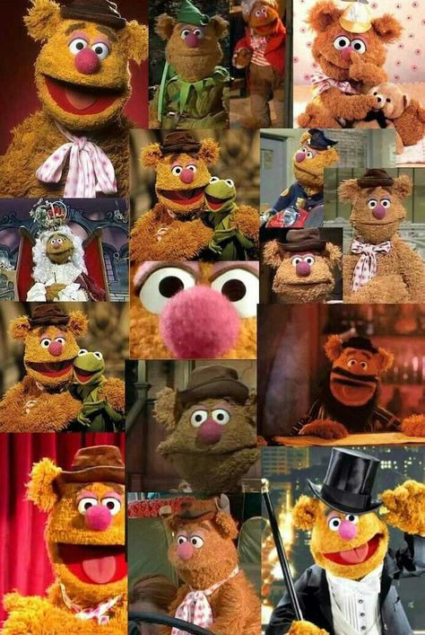 Muppets Fozzie Bear, Bunsen And Beaker, S A Wallpaper, Muppet Mayhem, The Rainbow Connection, Dont Look At Me, Fozzie Bear, Fraggle Rock, Rainbow Connection