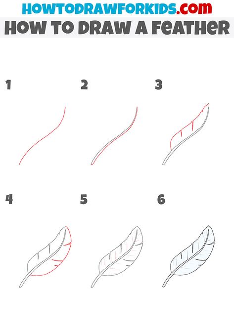 how to draw a feather step by step Draw A Feather Step By Step, How To Draw Feathers Step By Step, How To Paint A Feather, How To Draw A Feather, Feather Drawing Simple, How To Draw Feathers, Feather Drawings, Feather Doodle, Drawing Feathers