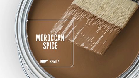 MOROCCAN SPICE S250-7 | Behr Paint Colors Moroccan Paint Colors, Spiced Cider Paint, Behr Colors, Behr Paint Colors, Behr Paint, Cabinet Paint Colors, Farm House Colors, Paint Color Inspiration, Upholstery Diy