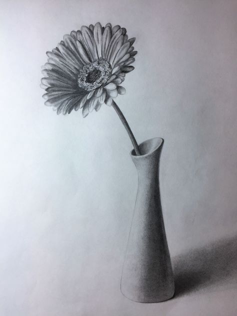 Gerbera in a vase. Graphite/pencil drawing by Elena Whitman Flower Sketch Pencil, Flower Vase Drawing, Vase Drawing, Easy Pencil Drawings, Still Life Sketch, Pencil Drawings Of Flowers, Life Sketch, Pencil Sketch Drawing, Flower Drawings