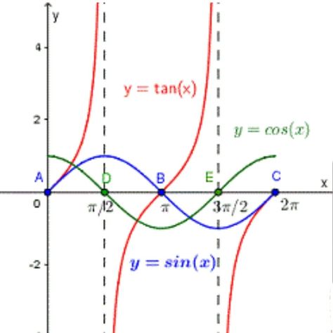 Graphing one full wave of each function Sin Cos, Sin Cos Tan, Trigonometric Functions, Line Chart, Collage, Pins