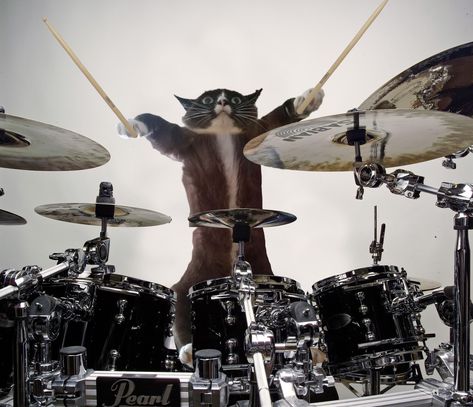 Heavy Metal Cat, Playing Drums, Playlist Covers Photos, Image Cat, Music Pics, How To Play Drums, Silly Cats Pictures, Drum Set, Cat Playing