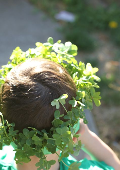 Lucky Clover Crown Clover Flower Crown, Clover Crown, Fall Flower Crown, Nature Hunt, Story Pictures, Clover 3, Irish Style, Green Construction, Leaf Crown