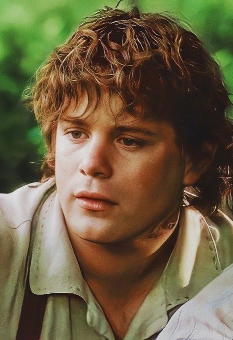 Samwise Gamgee, Lord of the Rings Sam Gamgee, Hobbit Day, The Hobbit Characters, Lotr Characters, Sean Astin, Lotr Cast, Samwise Gamgee, Hobbit An Unexpected Journey, Gandalf The Grey