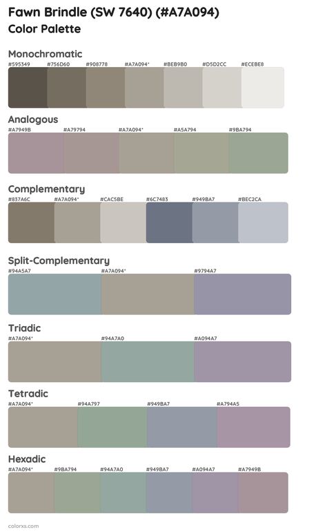 Sherwin Williams Fawn Brindle (SW 7640) Paint coordinating colors and palettes Sherwin Williams Fawn Brindle, Sherwin Williams Dorian Gray, Gray Study, Fawn Brindle, Draw A Hexagon, Pantone Color Guide, Color Generator, Analogous Color Scheme, Rgb Color Codes