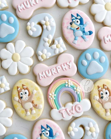 This episode of Bluey is called Murphy turns two-ey🩷🌈🌼🩵 #cowtowncookieco #fortworthcookies #aledocookies #blueycookies… | Instagram Bluey Sugar Cookies Girl, Bluey Cookies Decorated Girl, Bluey 2nd Birthday Cookies, Bluey Birthday Cookies For Girl, This Episode Of Bluey Is Called, Bluey Decorated Sugar Cookies, Bluey Theme Party Food, Bluey Themed Cookies, 3 Year Birthday Theme Girl Bluey