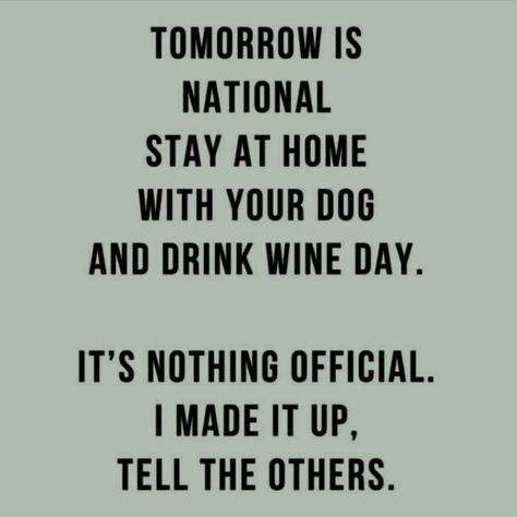 Drink Wine Day, Wine Drinks, Stay At Home, Funny