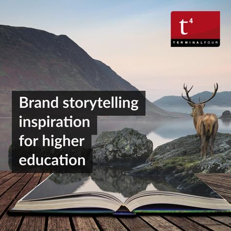 Education Branding, Storytelling Inspiration, Storytelling Ideas, Higher Education Marketing, Brand Storytelling, Search Video, Blog Marketing, Great Stories, Colleges And Universities