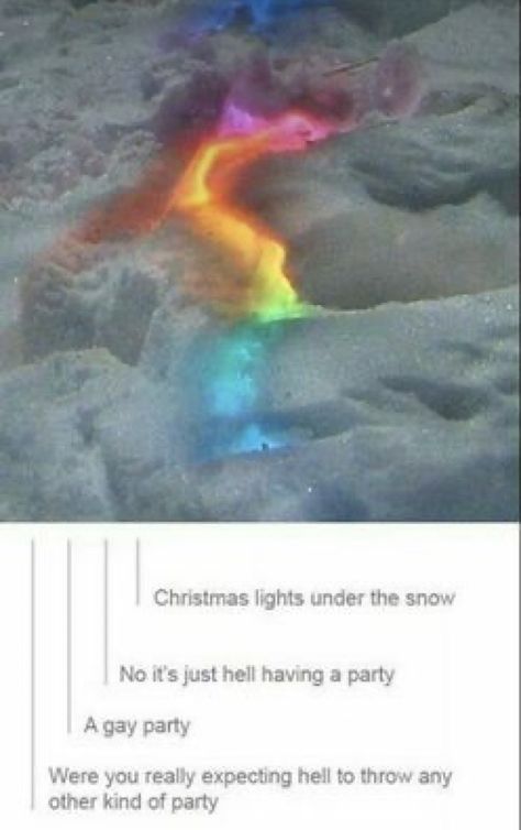 Lgbt Humor, Lgbt Memes, Lgbtq Funny, Gay Humor, Gay Memes, What’s Going On, Tumblr Funny, Tumblr Posts, Funny Posts