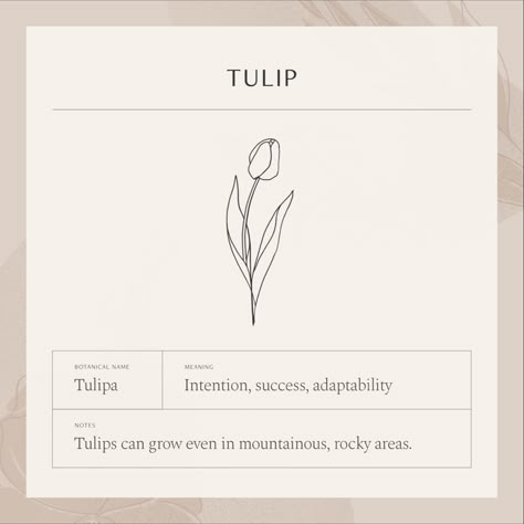 Latin Names, Tulip Tattoo, Tulip Necklace, Petite Tattoos, Discreet Tattoos, Dainty Tattoos, Subtle Tattoos, Dream Tattoos, Elegant Tattoos