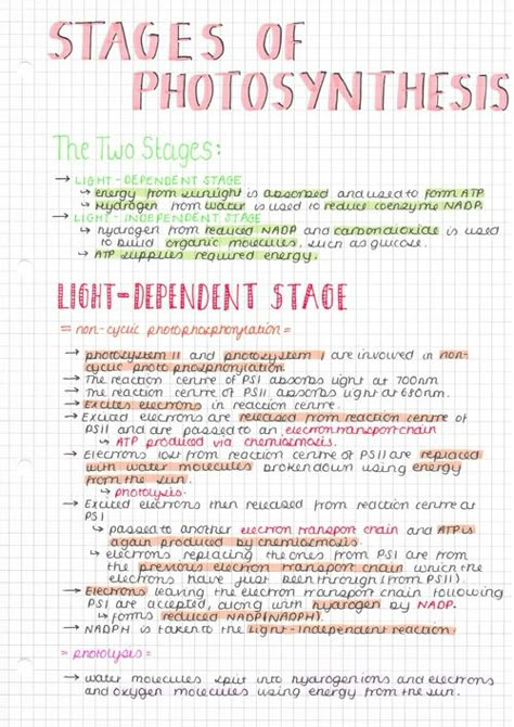 Gcse Notes, Gcse Science Revision, Revision Ideas, School Revision, Gcse Biology, Bio Notes, Science Revision, Note Taking Ideas, Biology Revision