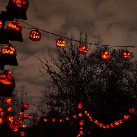 Halloween Aesthetic Horizontal, Halloween Festival Aesthetic, Jack O Lantern Spectacular, Halloween Aesthetics, Pumpkin Lights, Fall Mood, Spooky Szn, Halloween 3, Halloween Vibes