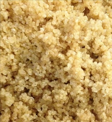 How to Sprout Quinoa Sprouted Quinoa, Microgreens Recipe, Sprouting Quinoa, Sprouted Grains, Raw Recipes, Sprouting Seeds, Electric Foods, Raw Diet, Dehydrator Recipes