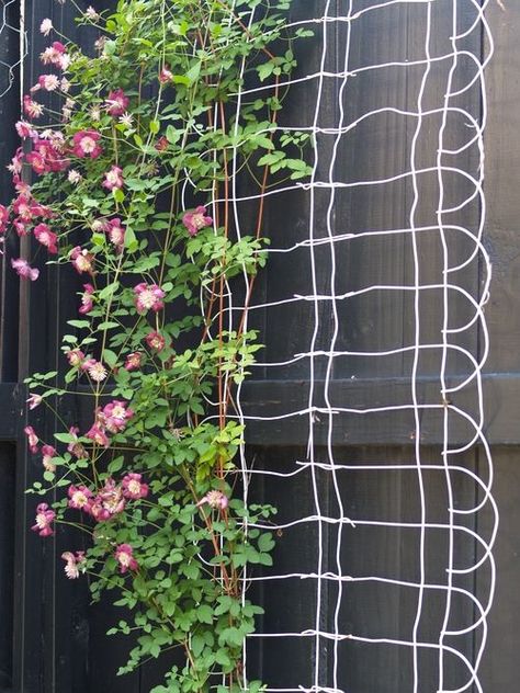 Fence Edging, Upcycled Garden, Diy Garden Trellis, Trellis Ideas, Upcycle Garden, Diy Trellis, Planter Ideas, The Secret Garden, Unique Gardens