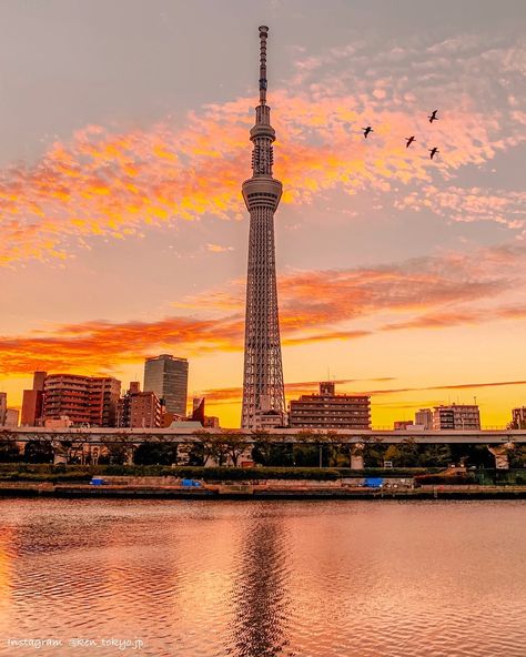 Even in autumn, when the colorful forests call you to the wild, the great city of Tokyo still holds it's charm. Escape the city rush and climb to the top of the Skytree. All your worries are forgotten when you bask in the twilight sun with the endless city at your feet.⁣⁣ 📷 ken_tokyo.jp⁣⁣ Tokyo Japan Aesthetic, Skytree Tokyo, Photos Of Japan, Places In Tokyo, Japan Guide, Tokyo Skytree, Trip To Japan, Best Photos, Asia Travel