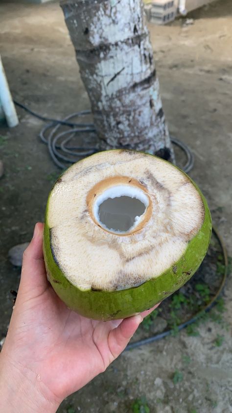 #coco Food Prank, Best Anime List, Food Pranks, Foodie Pics, Coconut Drinks, Healthy Food Inspiration, Aesthetic Shop, Most Beautiful Gardens, Food Drinks Dessert