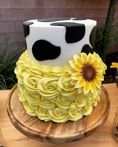 Cow Print Cake With Sunflowers, Cow Print Sunflower Cake, Cow And Sunflower Cake, Cow And Sunflower Baby Shower Theme, Cow Deserts, Farm Baby Shower Cake, Cow Baby Shower Cake, Cow Print Cakes, Cow Birthday Cake