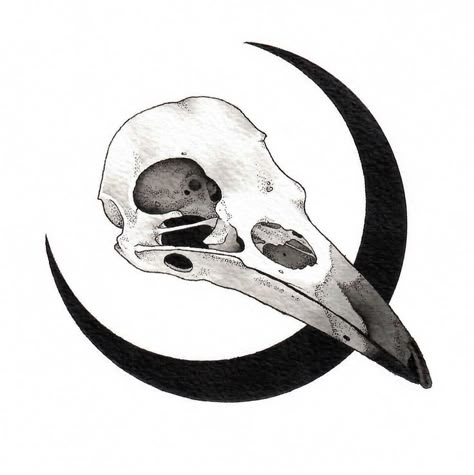 Oddities Tattoo, Skull Drawing Tattoo, Skull Watercolor, Valkyrie Tattoo, Spartan Tattoo, Skull Sketch, Knight Tattoo, Frank Castle, Marvel Tattoos