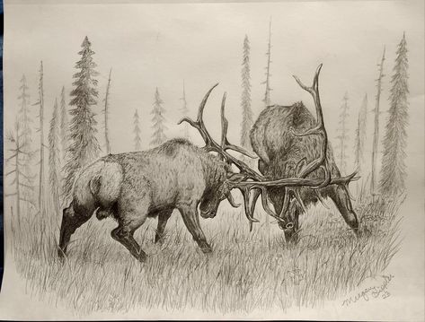 Elk Pencil Drawings, Bull Elk Drawing, Elk Line Art, Hunt Tattoo, Elk Sketch, Buck Drawing, Bull Art Drawing, Elk Drawing, Hunting Drawings