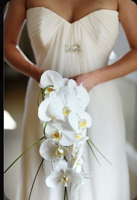 White Orchid Bouquet, Orchid Bridal Bouquets, Orchid Bouquet Wedding, Modern Bridal Bouquets, Brides Flowers Bouquet, Small Wedding Bouquets, Casual Bride, Tulip Wedding, Cascading Wedding Bouquets