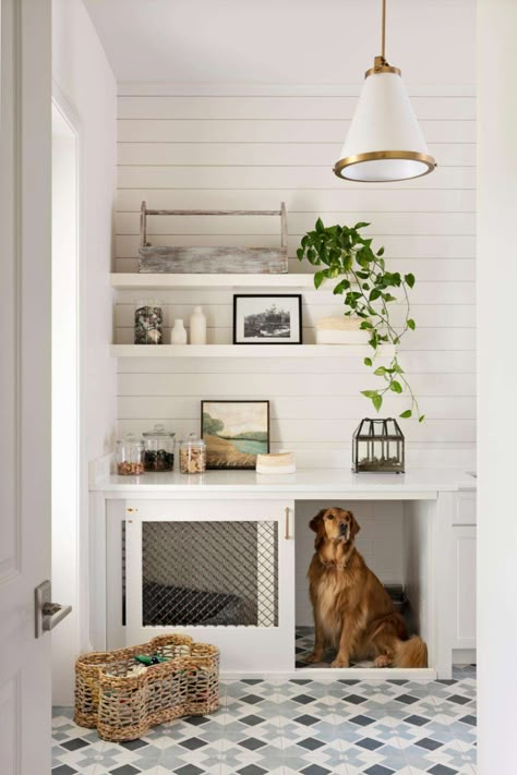 Dog Nook, Pet Room, Dog Spaces, Metal Clothes Rack, Pet Spaces, Dog Crate Furniture, Mudroom Ideas, Dog Crates, Dog Room