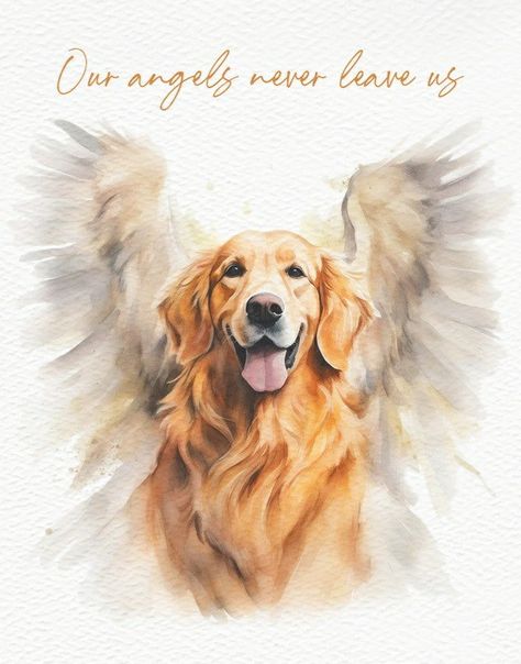 Dog With Angel Wings Drawing, Angel Drawings, Pets Illustration, Perros Golden Retriever, Heaven Painting, Angel Wings Drawing, Labrador Retriever Art, Miss My Dog, Angel Dog