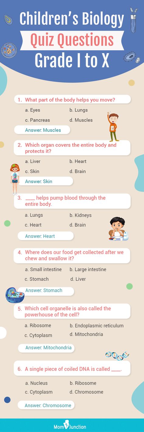 Science Quiz For Grade 1, General Questions For Kids, Gk For Grade 1, General Knowledge Quiz With Answers For Kids, Gk Questions For Class 1, Gk Worksheets For Grade 1, Science For Kids Worksheets, Gk Questions And Answers For Kids, Funny Quiz Questions And Answers