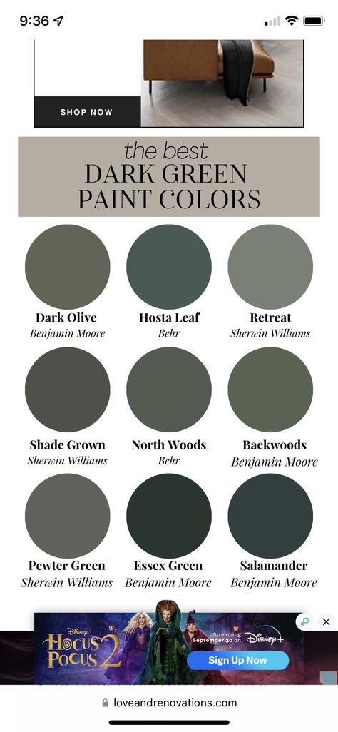 Dark Greenish Gray Paint Colors, Northwoods Behr Paint, Dark Green Media Room, Behr Black Evergreen Color Palette, Dark Green Paint Behr, Deep Green Paint Colors Behr, Behr Deep Viridian, Behr Moody Green Paint Colors, Dark Green Office