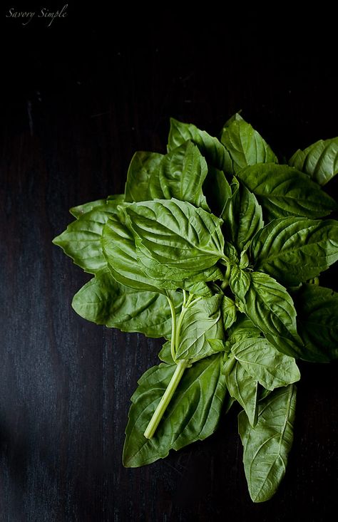 Basil Photography, Tulsi Basil, Benefits Of Basil, Hair Nutrition, Abs Fast, Healthy Eyes, Holy Basil, Spices And Herbs, Food Photography Styling