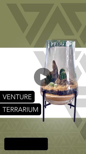 253K views · 18K reactions | Here is the extended version of me planting out the Venture Terrarium 🌵 

Substrate used:
 Tan & white aquarium grade sand

Soil used:
 Fertilizer free cactus & succulent mix 

Plants used:
 Cactus & Haworthia 

MUSIC:
Pembrokeshire by Cody Martin 

#terrarium #terrariumdesign #terrariumlove #terrariumdreams #moss #howto #diy #fyp #terrariumsofinstagram #portland #cactus #succulents #beaverton #pdx #plantshop #local #smallbusiness #plantsplantsplants #plants #plantsmakepeoplehappy #plantsofinstagram | JOHNATHON Q SWANSON | johnathonqswanson · Original audio White Aquarium, Cody Martin, Greenhouse Plants, Cactus Succulents, Vbs Crafts, Backyard Patio, Plant Decor, Planting Succulents, Decorating Tips