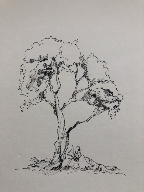 Trees Pen Drawing, Tree Pen Sketch, Trees Drawing Simple, Sketch Ideas Nature, Tree Drawing Pen, Landscape Pen Drawing, Pen And Ink Drawings Simple, Tree Pen Drawing, Simple Pen Drawings