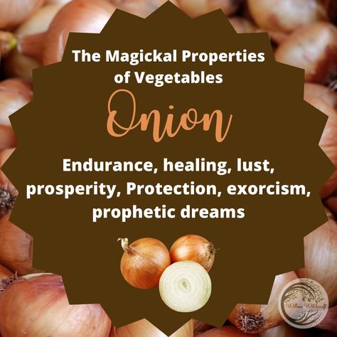 Fruit Meanings, Psychic Herbs, Witchy Ingredients, Magickal Plants, Witchy Plants, Herbs Properties, Magical Herbs Witchcraft, Magical Ingredients, Magick Herbs