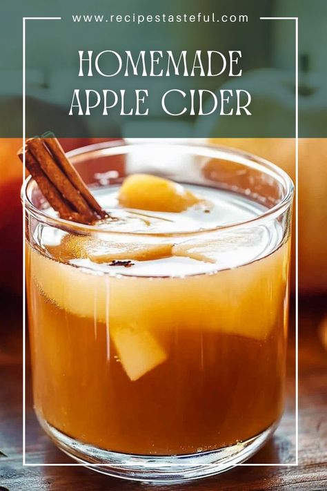 Warm, spiced apple cider made from a mix of sweet and tart apples. Perfect for cozy gatherings or chilly days, this homemade version is rich in flavor and can be enjoyed hot or cold. Homemade Hot Cider, Diy Hot Apple Cider, Hot Spiced Apple Cider Recipe, Hot Apple Cider Recipe Crockpot, How To Make Apple Cider, Apple Cider Recipe Homemade, Home Made Apple Cider, Hot Cider Recipe, Apple Cider Homemade